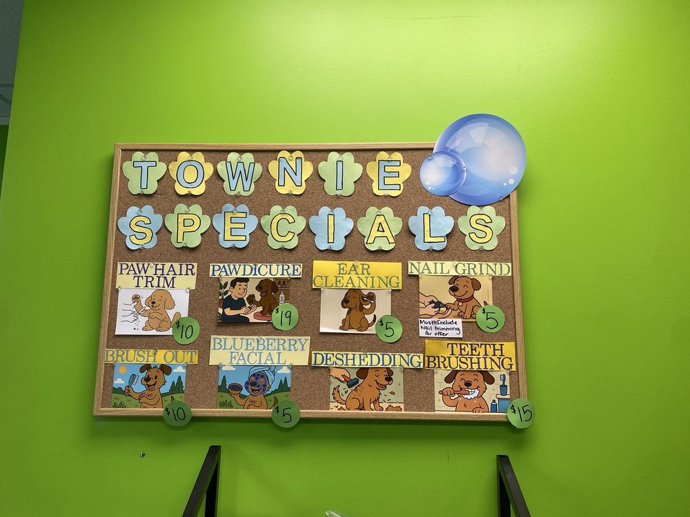 Hounds Town Metuchen - pet boarding facility in Metuchen, NJ