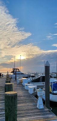 Waterman's Crab House by null