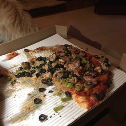 a cat and a pizza
