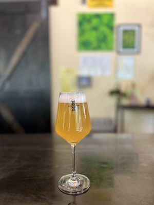 Novel Strand Brewing Company by null