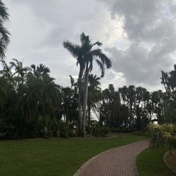Gizella Kopsick Palm Arboretum
