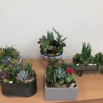 Ciat Flower - Florists Near Me - Fullerton, California Ciat Flower - Florists Near Me - Fullerton, California