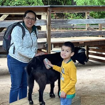 Dallas Zoo - Brushing goats - Zoos Near Me - Dallas, Texas