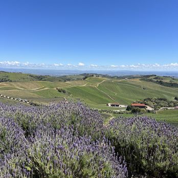 DAOU Vineyards - Wineries Near Me - Paso Robles, California DAOU Vineyards - Wineries Near Me - Paso Robles, California