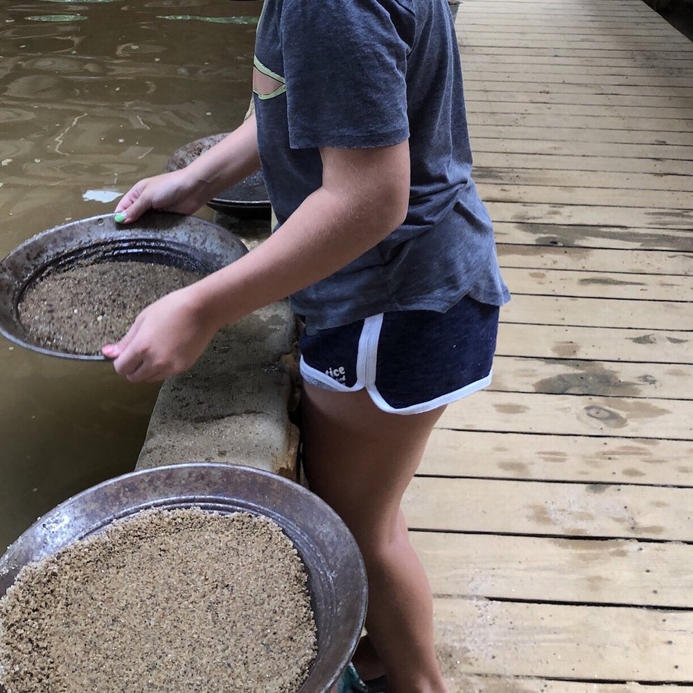 Crisson Gold Mine - Gold panning - Kids Activities Near Me - Dahlonega, Georgia Crisson Gold Mine - Gold panning - Kids Activities Near Me - Dahlonega, Georgia
