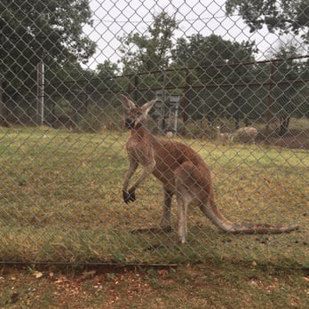 Arbuckle Wilderness - Zoos Near Me - Davis, Oklahoma