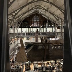 Pitt Rivers Museum