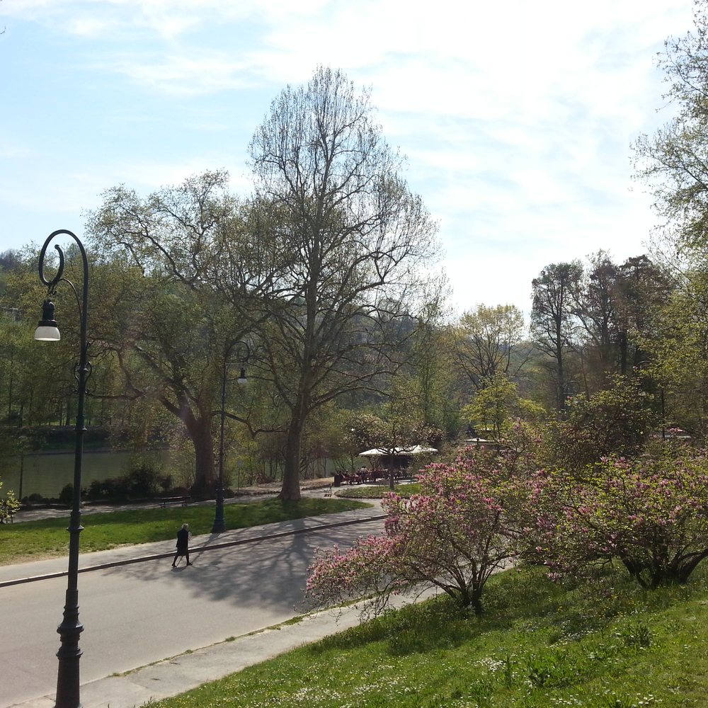 Parco del Valentino - Roads run through the park along the River Po.  Sit on the green hills above and enjoy the view. - Parks Near Me - Torino, TO