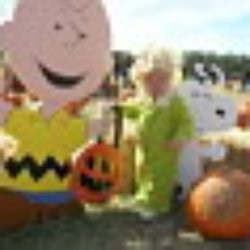 The Flower Mound Pumpkin Patch