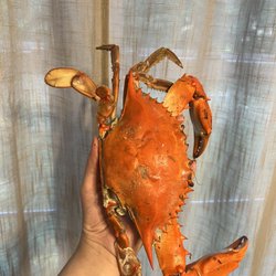 Decatur Crab House - CRABMAN SELECTS!!!