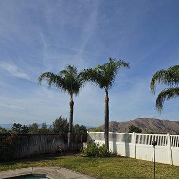 Reg’s Tree Service - Tree Services Near Me - Corona, California Reg’s Tree Service - Tree Services Near Me - Corona, California
