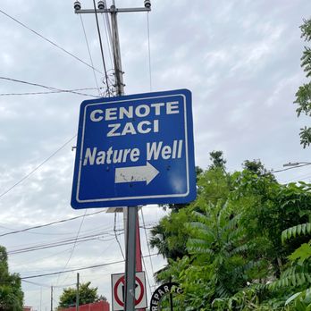 Cenote Zaci - Swimming Pools Near Me - Valladolid, YUC Cenote Zaci - Swimming Pools Near Me - Valladolid, YUC