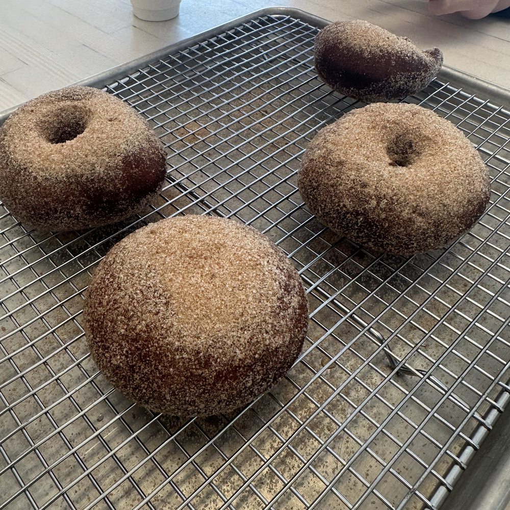 Curiosity Doughnuts - Classic yeast donut with vanilla cinnamon sugar - Donuts Near Me - Furlong, Pennsylvania Curiosity Doughnuts - Classic yeast donut with vanilla cinnamon sugar - Donuts Near Me - Furlong, Pennsylvania