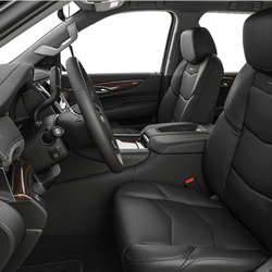 Luxury Escalade