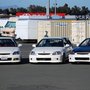 Trust Auto Work