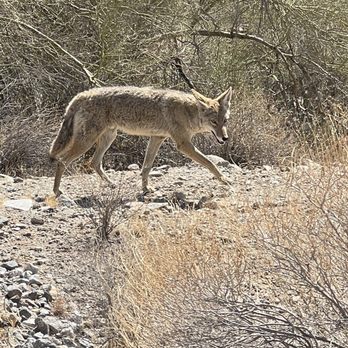 Skyline Regional Park - Hiking Near Me - Buckeye, Arizona Skyline Regional Park - Hiking Near Me - Buckeye, Arizona