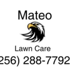 Mateo Lawn Service