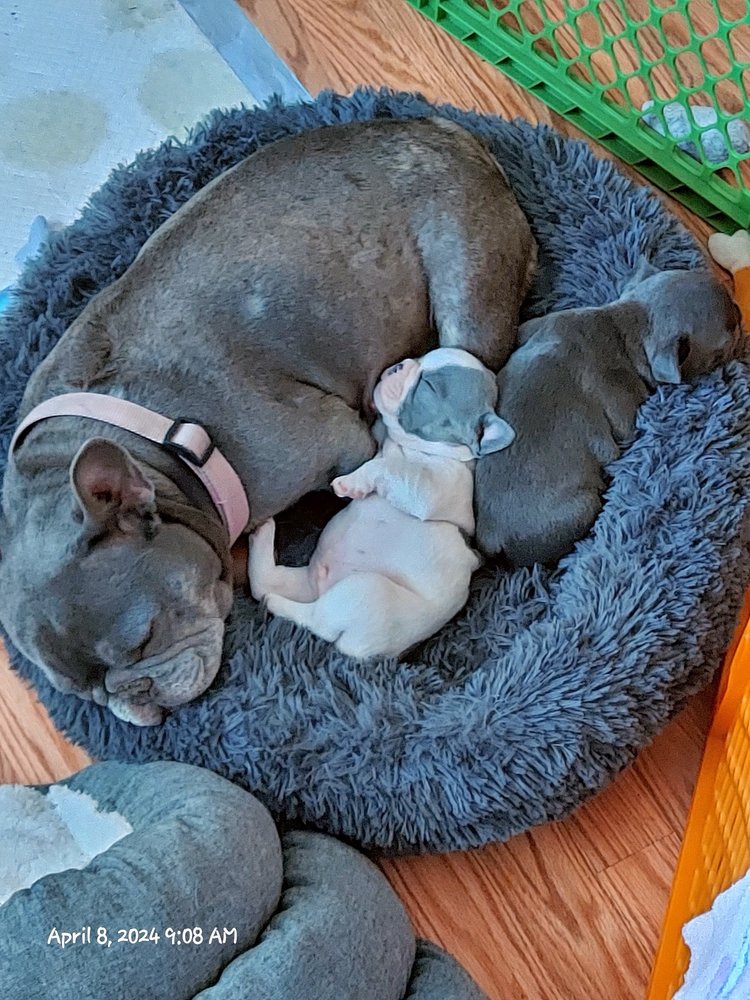 SUNNY BRAE ANIMAL CLINIC Updated October 2024 16 Photos & 88