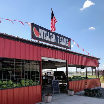 Miller Farms - Bought some gorgeous watermelons!! - Fruits & Veggies Near Me - Rush Springs, Oklahoma Miller Farms - Bought some gorgeous watermelons!! - Fruits & Veggies Near Me - Rush Springs, Oklahoma