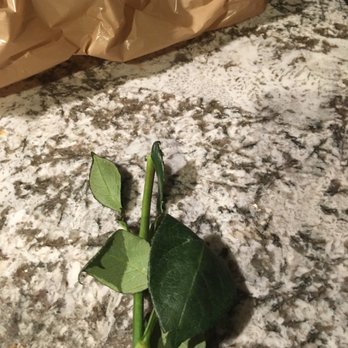 Edible Arrangements - Broken stems - Chocolatiers & Shops Near Me - Irvine, California