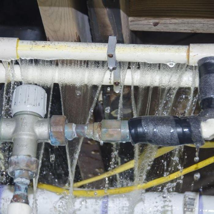 Slide of True Blue Plumbing