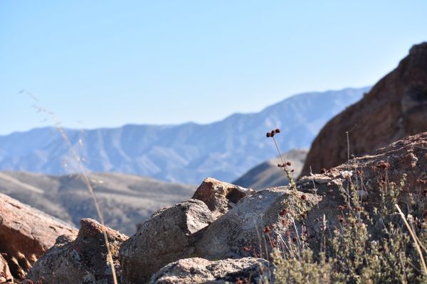 Vasquez Rocks Natural Area and Nature Center by null