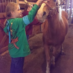 Sunset Knoll Riding Academy