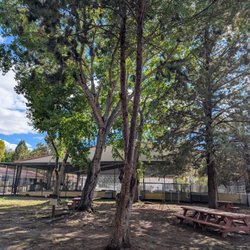Page Springs Hatchery - Picnic area