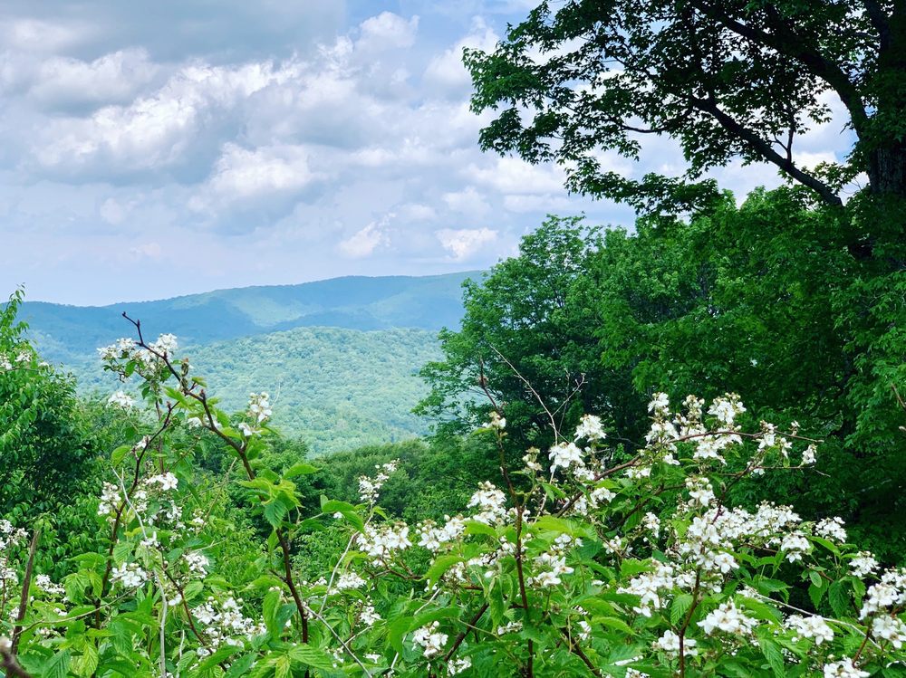 TELLICO WALKING TRAIL Updated September 2024 257 Cherohala Skwy