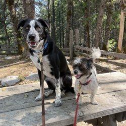 Castle Crags State Park