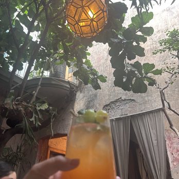 Taverna - Great cocktails - México, D.F., DIF Taverna - Great cocktails - México, D.F., DIF