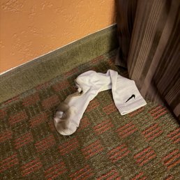 The disgusting sock my young child found under the bed. The disgusting sock my young child found under the bed.