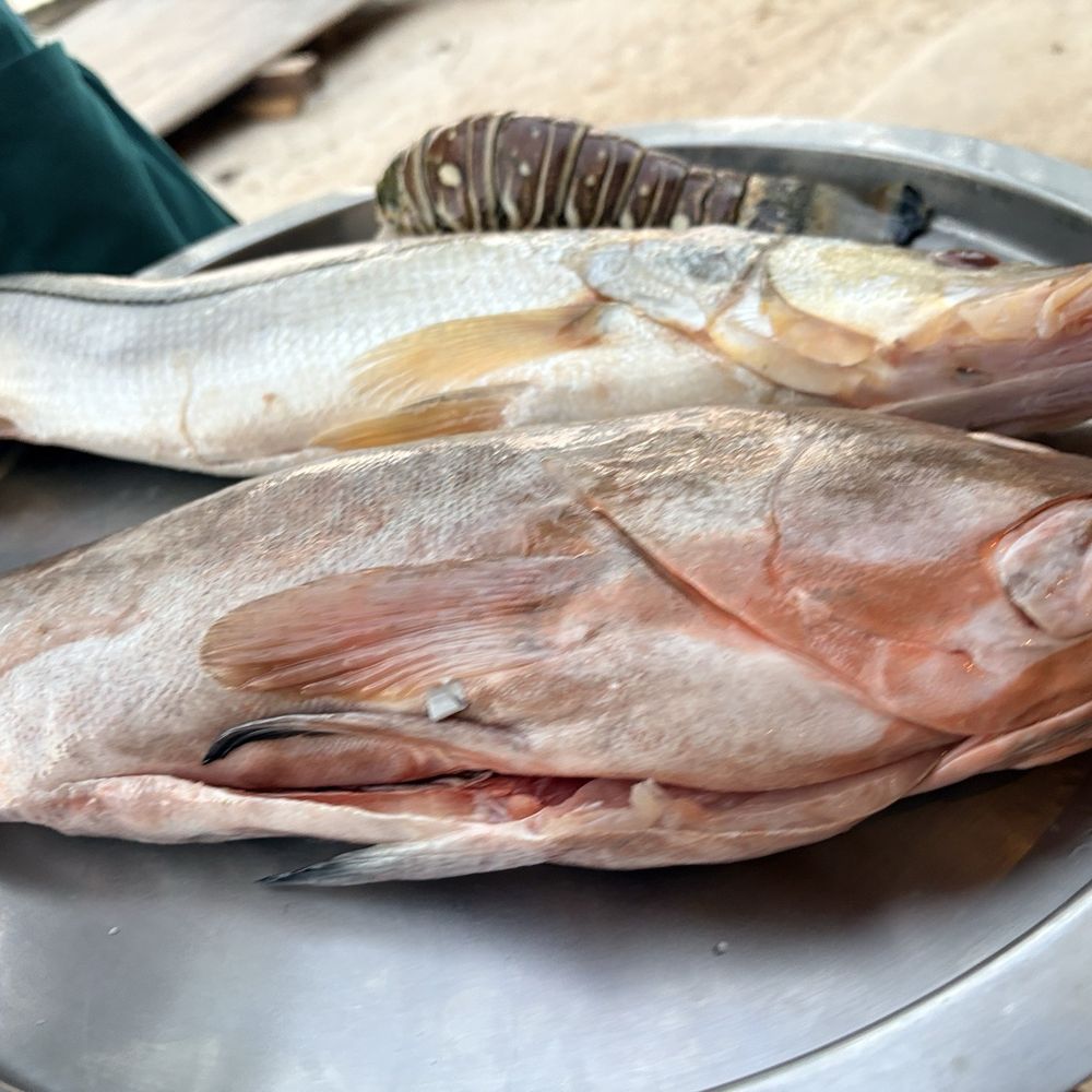 Puerto Santo - Seafood Near Me - Cancún, ROO Puerto Santo - Seafood Near Me - Cancún, ROO