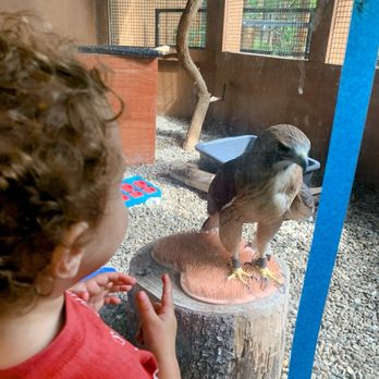 Ernie Miller Nature Center - Animal enclosure - Hiking Near Me - Olathe, Kansas