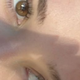 Classic wispy lash