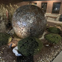 a garden in the evening
