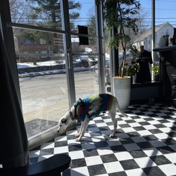 Fleet Street Barbering - This is Andy