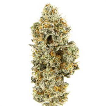 Life Is Good Healing - GMO Cookies - Cannabis Clinics Near Me Life Is Good Healing - GMO Cookies - Cannabis Clinics Near Me