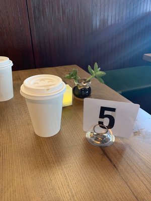 Fancy Plants Kitchen by null