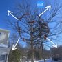 Photo of JG Tree Service