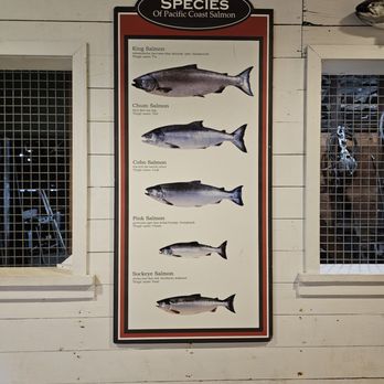 Icy Strait Point - Travel Services Near Me - Hoonah, Alaska Icy Strait Point - Travel Services Near Me - Hoonah, Alaska