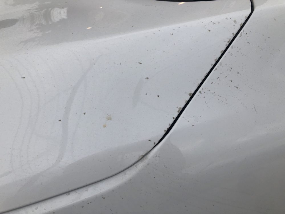 HERTZ RENT A CAR 11 Photos & 22 Reviews 5502 West 34th St, Houston