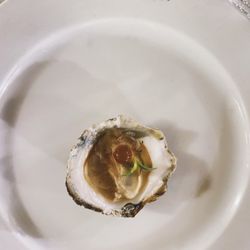 Els Pescadors - Oyster with grape juice