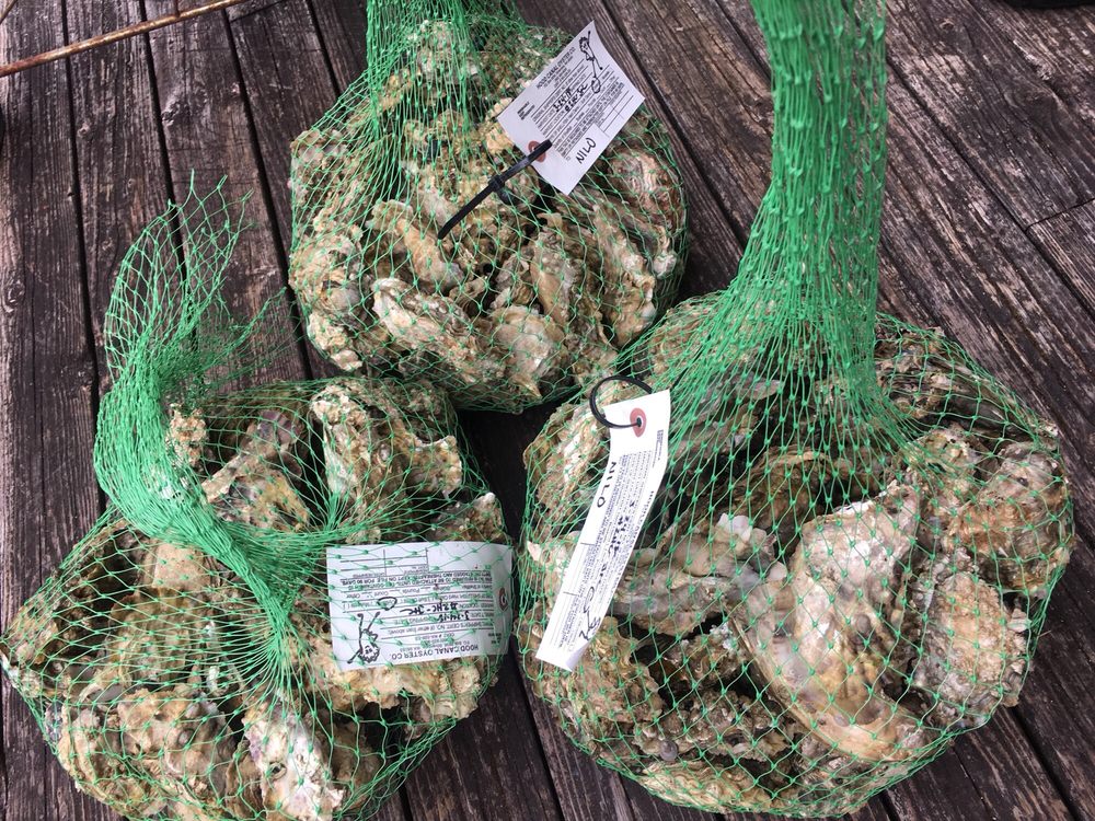 HOOD CANAL OYSTER COMPANY Updated September 2024 9942 Misery Point