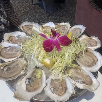 Public Interest - Oysters from the Chesapeake - American Near Me - Washington, DC, District of Columbia Public Interest - Oysters from the Chesapeake - American Near Me - Washington, DC, District of Columbia