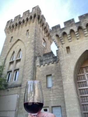 Hostellerie Château des Fines Roches by null
