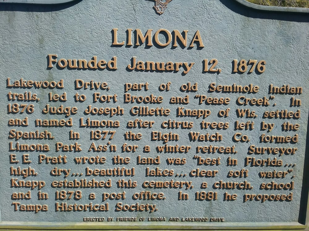 LIMONA Updated May 2024 Limona Rd And Lakewood Dr, Brandon, Florida