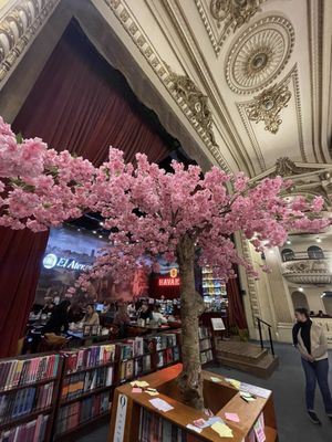 El Ateneo Grand Splendid by null