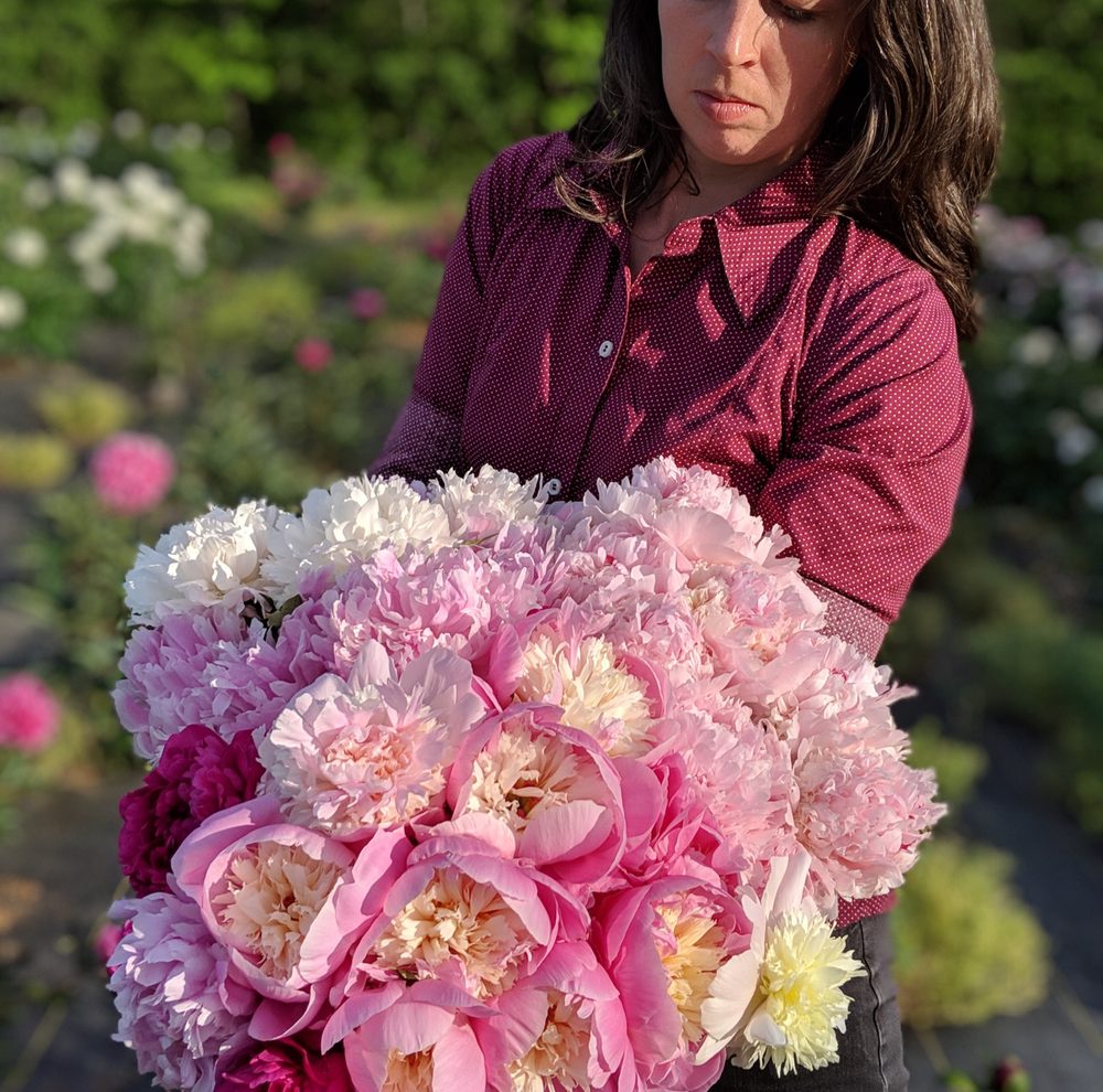 THE PEONY FIELDS Updated June 2024 379 Red Maple Rd, Inman, South