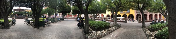 Jardín Allende by null